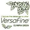 Image de Mini encreur Versafine Olympia Green