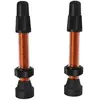 Image de Valves tubeless WTB presta TCS 34 mm