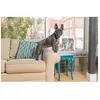 Image de Collier Anti-Aboiement Bark Control De Petsafe