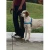 Image de Easy Walk Harnais Deluxe M - Bleu OcÃ©an - Pour Chien