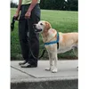 Image de Easy Walk Harnais Deluxe L - Bleu OcÃ©an - Pour Chien