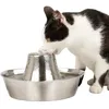 Image de Petsafe Fontaine Inoxydable Bord De Mer Pour Animaux De Compagnie 1 8 L - IdÃ©al Pour Chat Et Petit Chien Silencieuse Eau FiltÃ©e Sans Bpa Encourage Les Animaux Boire Plus