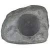 Image de Klispch PRO-10SW-RK Rock Granite - Caisson de Basses Rocher d'Extérieur
