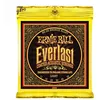 Image de Ernie Ball 2558 Everlast Coated Bronze Light Jeu De Cordes Folk