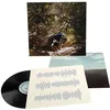 Image de Ty Segall - Possession [Vinyl Lp]