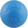 Image de Jolly Pets - Ball Bounce-N Play 20cm Baby Blue (Blue Berry Smell) - (