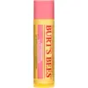 Image de Burt's bees Baume à lèvres scintillant au pamplemousse (255 g)