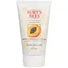 Image de Burt’s Bees Gommage nettoyant en profondeur à l'écorce de pêche et de saule 4 oz