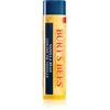 Image de Burt’s Bees Baume à lèvres hydratant à la vanille 4,25 g