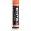 Image de Burt’s Bees baume à lèvres couleur Zinnia 4,25g