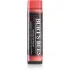Image de Burt’s Bees Baume à lèvres couleur rose 4,25 g