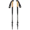 Image de Bâtons de randonnée BLACK DIAMOND Alpine Carbon Cork Trek Poles (Tundra)