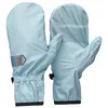 Image de Surmoufle BLACK DIAMOND UL OVERMITTS (Glacier)