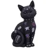 Image de Nemesis Now - Figurine de Chat "Bad to the Bone" 22cm