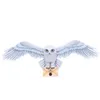 Image de Harry Potter - DÃ©coration Murale Hedwige 45 Cm
