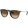 Image de Lunette De Soleil Panto Ray-Ban Havana - L