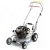 Image de Tondeuse thermique tractÃ©e, moteur 163cm3 Briggs Stratton, Mulching avancÃ©, 1200m2 - GRIN HM46A