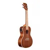 Image de Satin Mahogany Concert Electroacoustique