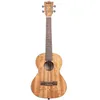Image de Kala - Ka-Pwt Pacific Walnut