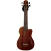 Image de Kala U-Bass Journey Man Ãlectro FrettÃ© - Cordes Acier (+ Housse)