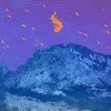 Image de Pelican : Flickering Resonance