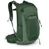 Image de Sac à dos de randonnée OSPREY Talon 22 (Green Canopy) Homme