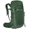 Image de Osprey - Sac à dos polyvalent - Talon 33 Green Canopy/Pine Leaf - Vert