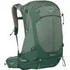 Image de Osprey - Sac à dos de randonnée - Stratos 34 Pine Leaf en Nylon - Vert