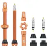 Image de Kit de tige de valve tubeless Wolf Tooth 60 mm