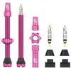 Image de Kit de tige de valve tubeless Wolf Tooth 60 mm