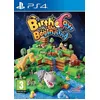Image de Birthday The Beginning PS4