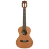 Image de Kala Ka-Ascp-T-Case - Solid Cedar Top Pau Ferro, UkulÃ©lÃ© TÃ©nor, LivrÃ© Avec Ãtui
