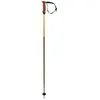 Image de Bâtons de ski VOLKL PHANTASTICK 16MM POLES (Green)