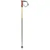 Image de Bâtons de ski VOLKL PHANTASTICK 16MM POLES (Green)