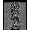 Image de Unknown Pleasures
