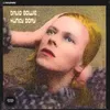 Image de Hunky Dory