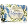 Image de Nesti Dante Lavande bleue du Mediterraneo savon naturale 150 g