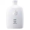 Image de Shampoo Oribe Silverati
