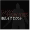 Image de Burn It Down - Vinyle 33 Tours