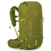 Image de Sac de randonnée OSPREY Talon Velocity 20 (Matcha Green/Lemong) Homme