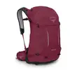 Image de Sac à dos randonnée OSPREY Hikelite 28 (Chameleon) Mixte