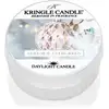 Image de Kringle Candle Aurum & Bougie chauffe-plat Evergreen 42g