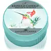 Image de Kringle Candle Bougie réchaud Snowbird 42 g