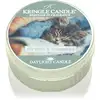 Image de Kringle Candle Bougie chauffe-plat Chatons et cachemire 42 g