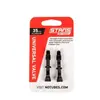 Image de Valve de jante aluminium Stans Universal, Presta (x2) 100 mm