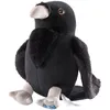 Image de Harry Potter - Peluche Ravenclaw Raven Mascot 14 Cm
