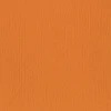 Image de Papier cardstock uni Apricot