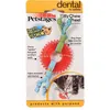 Image de Jouet Ã MÃ¢cher Soin Des Dents Pour Chat Kitty Chew Wheel - Petstages
