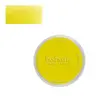 Image de Panpastel 9 ml - Hansa Yellow Shade