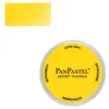 Image de Panpastel 9 ml - Diarylide Yellow